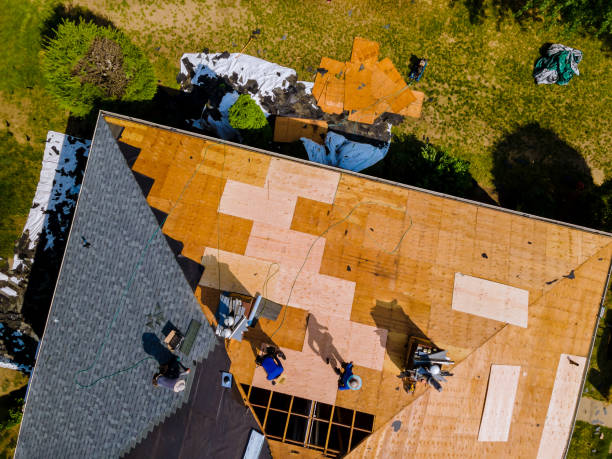 Best Roof Gutter Cleaning  in Chepachet, RI